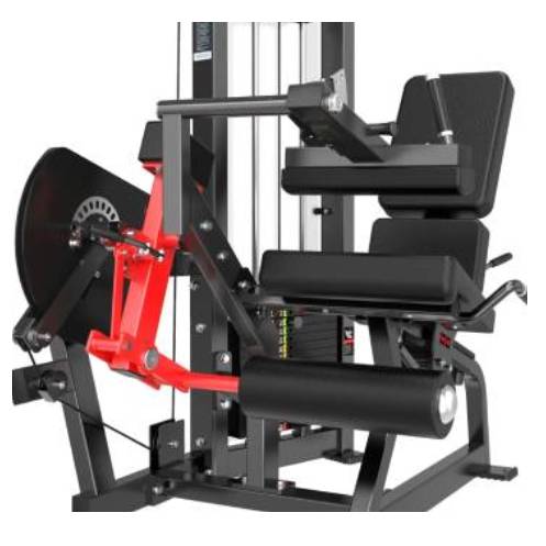 Dual Extension Leg Curls