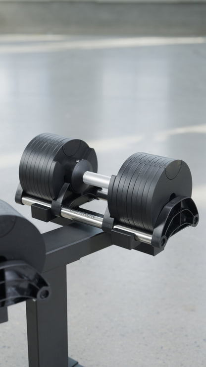 90lbs Adjustable Cast Iron Dumbbell Pair