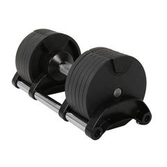 dumbbells cast iron