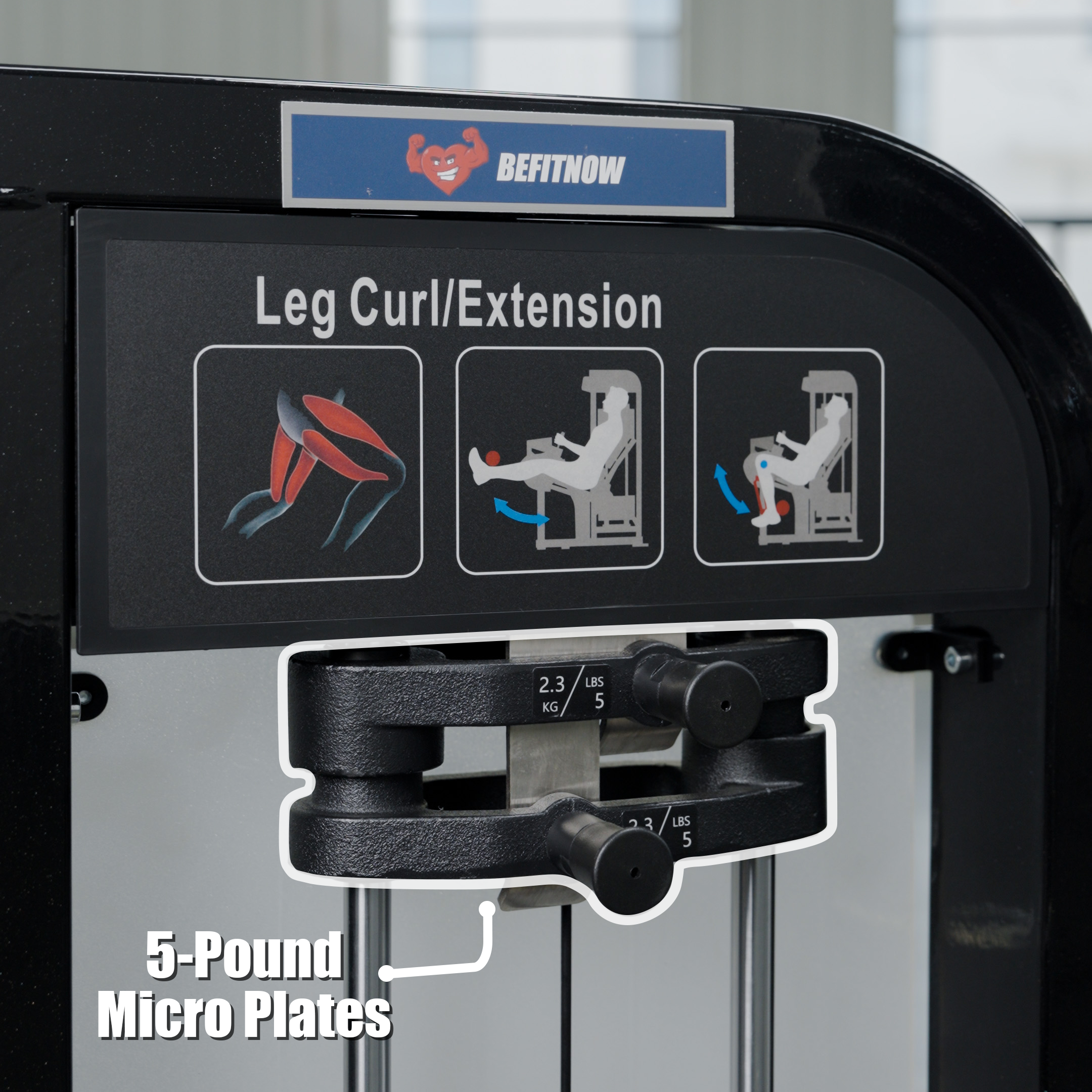 Dual Function Leg Extension Leg Curl Machine