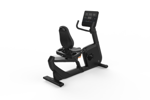 Commercial Recumbent Bike