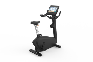 Commercial Upright Bike