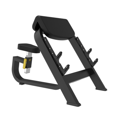 Seated Preacher Curl Bench