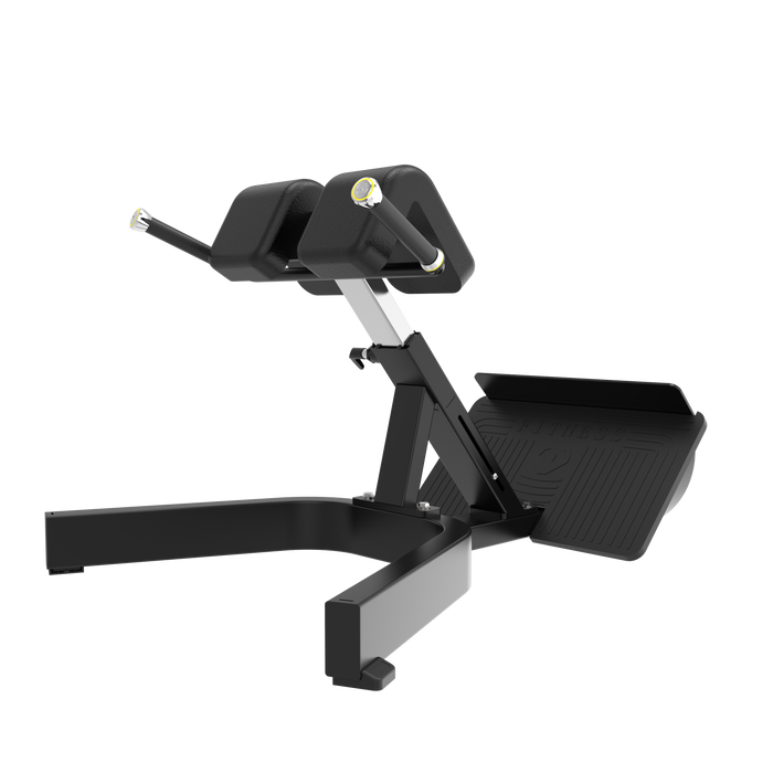 AR45 Back Extension
