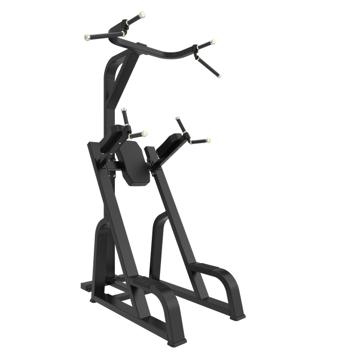 AR80 Chin Up/Dip & Knee Up