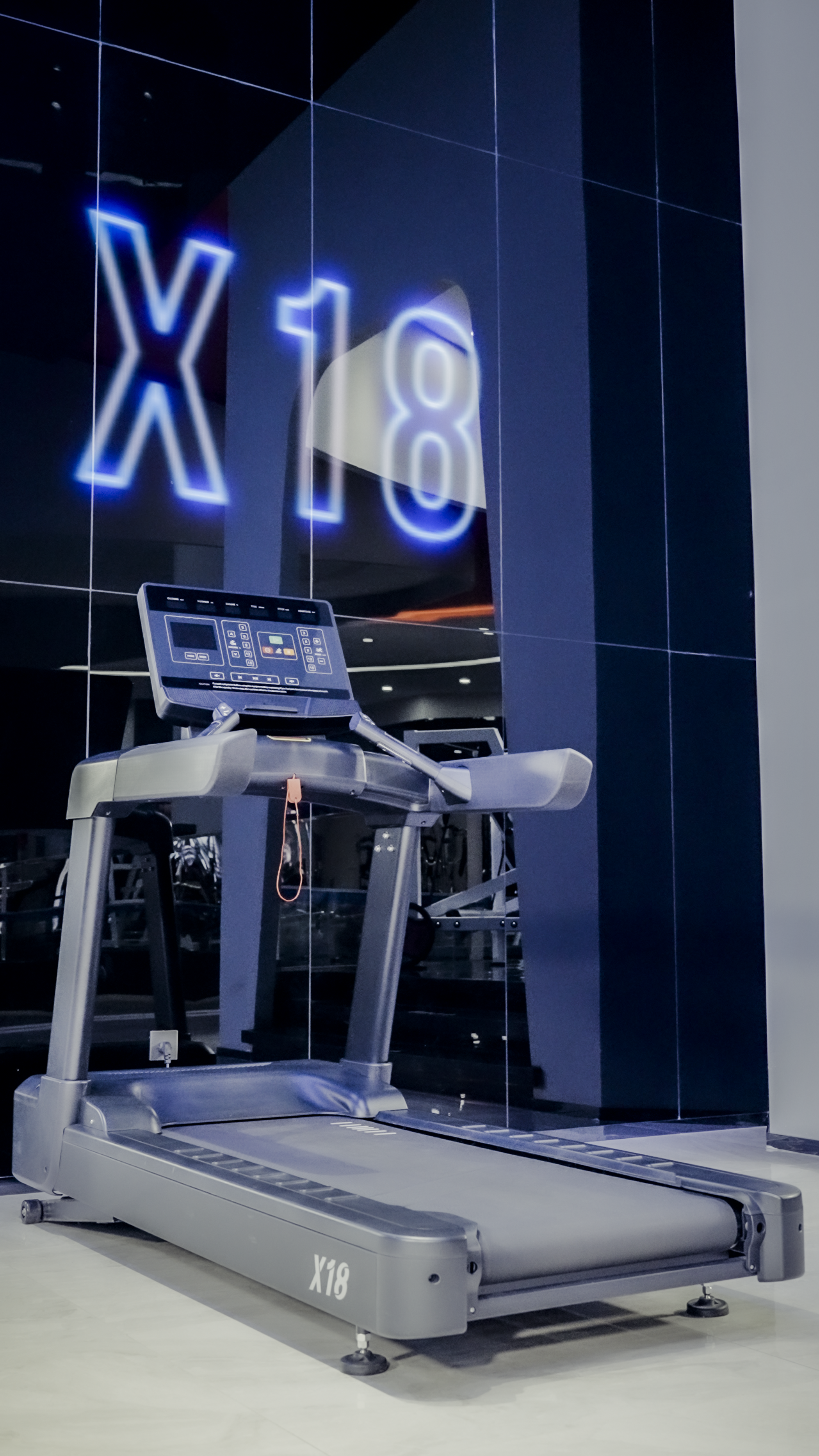 The NitroStep Treadmill