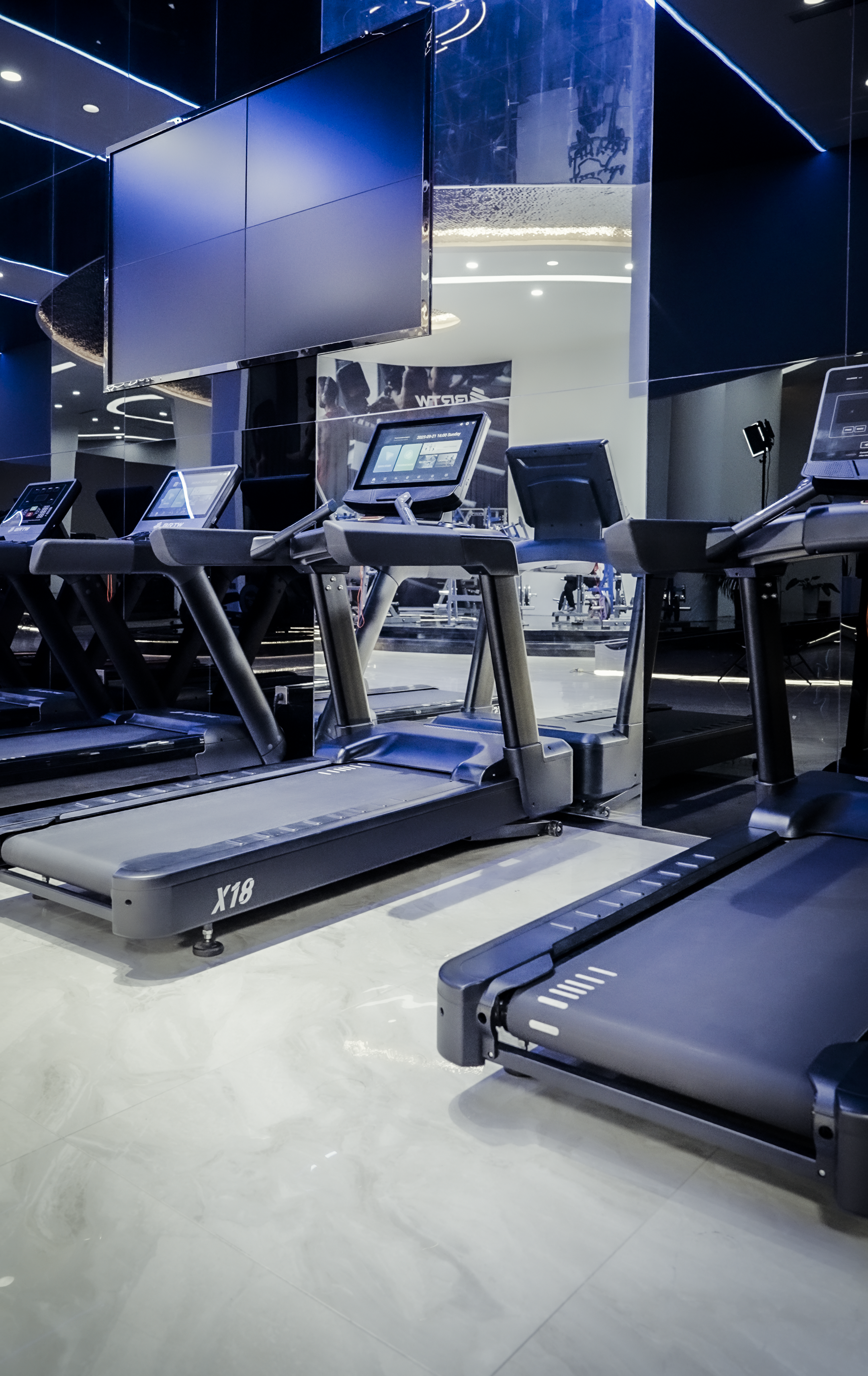 The NitroStep Treadmill